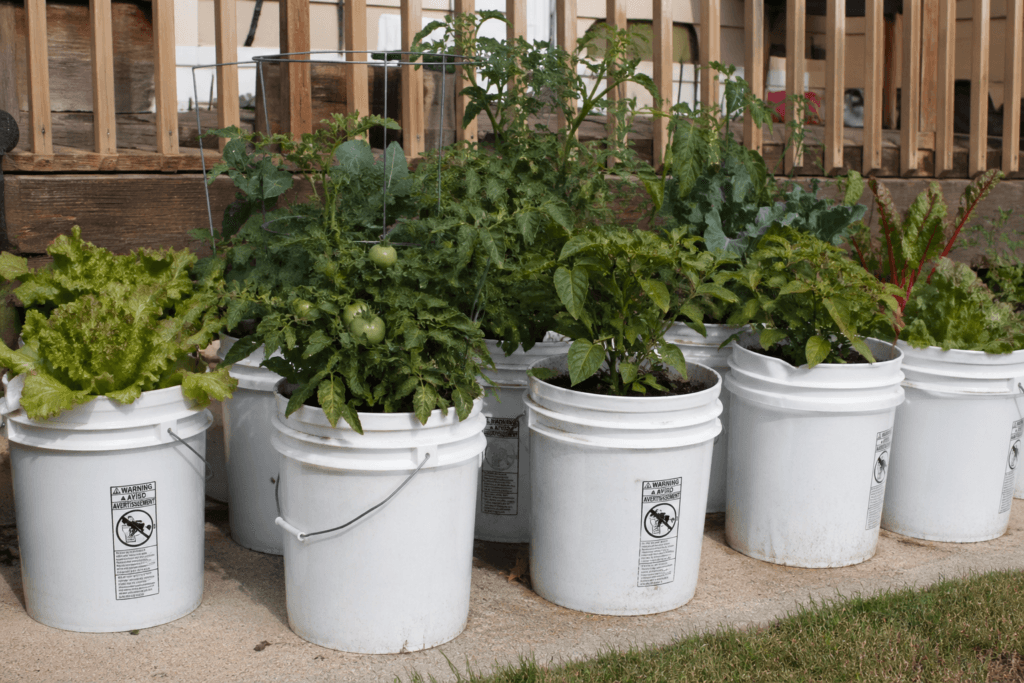 ChatGPT Image Apr 26, 2026, 04 08 34 PM